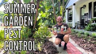 Summer Garden Pest Control  Insect Pest Management Tips  Preventing Plant Disease in Hot Weather