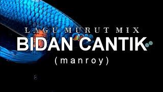 LAGU MURUT NEW VERSION BIDAN CANTIK  MIX TARIK SIS SEMONGKO  MANROY