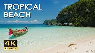 4K Tropical Beach - Relaxing Sea Ocean Wave Sounds & Ultra HD Nature Video - Meditate Yoga Sleep