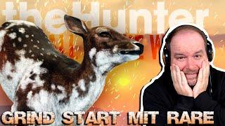 Great One Grind startet mit einem Rare - Great One Freitag  theHunter Call of the Wild