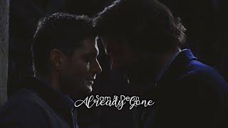 Sam & Dean • Already Gone