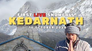 Kedarnath Latest Update 2024  Heavy Snowfall Kedarnath Yatra Update  Kedarnath Yatra Update Today