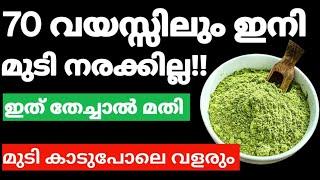 Natural Hair Dyeമുടി നല്ല കട്ടകറുപ്പാവാനും കാടുപോലെ വളരാനും ഇത് മതി#trending#naturalhairdye