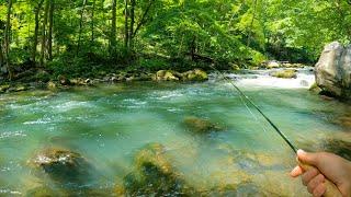 Fly Fishing BEAUTIFUL Water for Trout Brown Trout Brook Trout and Rainbow Trout