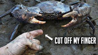 Can a Mudcrab cut off your finger?
