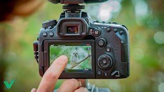 Le 5 Migliori Fotocamere Reflex del 2023