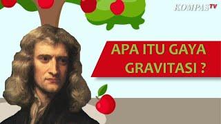 Mengenal Penemuan Newton Apa Itu Gaya Gravitasi?