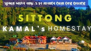 Kamals Homestay  Best Homestay In SITTONG  Dajeeling  North Bengal Offbeat  Tea Garden 