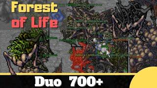 Forest of Life Tibia Duo ED-EK 700+