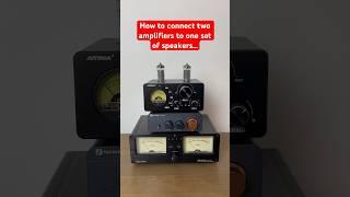 How to connect two amps to one set of speakers          #audio #audioequipment #amplifier #speakers