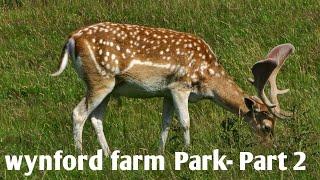 #wynford farm park-part 2#Aberdeen#Scotland