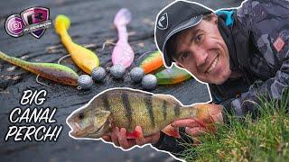 THESE TINY LURES CATCH BIG PERCH  UK Canal Fishing using Dropshot and Jigs