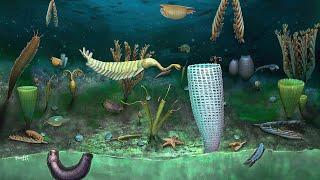 What Was Life Like During The Cambrian Period?  Part 2