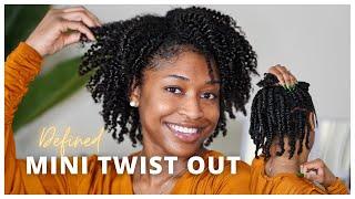 How To Turn Mini Twists into a Super Defined Twist Out