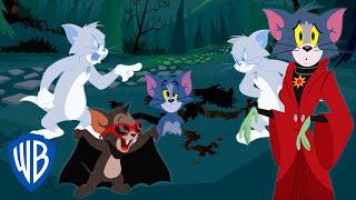 Tom & Jerry  Trick or Treat  WB Kids