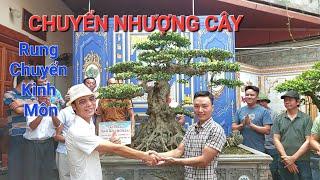 TIN HÓT  CHUYỂN NGƯỢNG TP TINH HOA PHỤ TỬ vườn em NGỌC về người hùng AN TÂY - CHÍ LINH - HD .