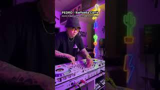 PEDRO Mashup from 2 diffrent remix #pedro #pedropedropedro #dj #edm #djmushroom #pioneerdj #fyp