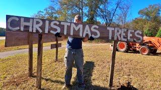 How We Do It Homestead Christmas Tree Farming
