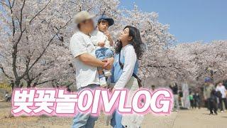 Vlog  인천 벚꽃놀이촬영하다 치마 터짐SK석유화학 벚꽃 동산