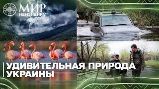 Мир наизнанку. Украина. 4 выпуск на русском Африканские птицы и бразильские пейзажи