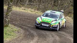 Mælifellsdalur - Fiesta R5 incar