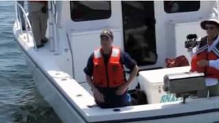 BP Hiding Effects On Children - Coast Guard