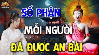 Số Phận Mỗi Người Có Phải Ông Trời Đã Đặt Sẵn ?  Nghe và Ngẫm   An Nhiên Hạnh Phúc