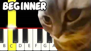 Chipi Chipi Chapa Chapa Dubi Dubi Daba Daba Meme - Fast and Slow Easy Piano Tutorial - Beginner