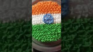 Indian Flag Cake  #india #homemade #beginners #cakes #tricolour #shorts #beautifulcakes