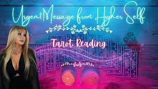  URGENT  An URGENT Message from YOUR Higher Self ️ Tarot Reading for May  ️
