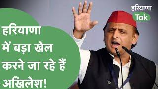 Haryana Vidhansabha Elections को लेकर Akhilesh का प्लान तैयार जल्द होगा धमाका। Haryana Tak