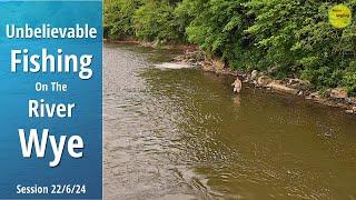 INCREDIBLE River Fishing On The Wye - SO MANY BIG FISH On A New Stretch - 22624 - Video 502