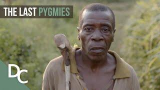 The Last Pygmies  Extreme Tribe  Part 1  Documentary Central