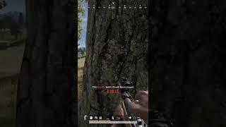 Satisfying Shots In PUBG w M416 & Mosin Nagant in 60 sec #pubg #multiplayer #battleroyale #erangel