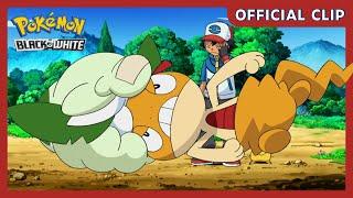 Scraggy and Cottonee  Pokémon Black & White  Official Clip