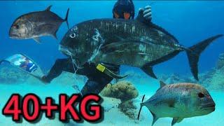 MONSTER TREVALLY  SPEARFISHING PHILIPPINES  40+KG IN A DIVE