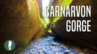 Carnarvon Gorge  Queensland  Australia Nature  Beautiful Landscapes