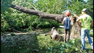 Tornado Cleanup Day 2