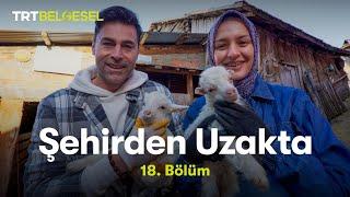 Şehirden Uzakta  Bolu - Fırınlık Köyü  TRT Belgesel