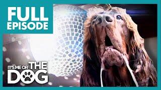 The Dog With OCD Max  Full Episode  Its Me or The Dog