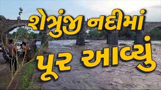 ધોધમાર વરસાદને કારણે શેત્રુંજી નદીમાં પૂર આવ્યું   Amreli  Heavy Rains  Rains  Monsoon 2024