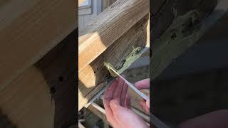 Quick Repair for Exterior Wood Rot 🪵 Bondo Wood Filler