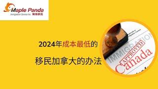 2024年成本最低的移民加拿大的办法