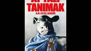 Celal ŞENGÖR - Aptalı Tanımak  Kitap Özeti Sesli Anlatım