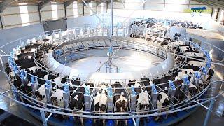 The Incredible Rotary Milking Parlour from Dairymaster