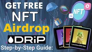 Get Free NFT Airdrop Guide  Step by Step  Drip haus