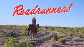 Kaitlin Butts - Roadrunner Official Music Video