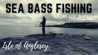 Sea Bass fishing on the Isle of Anglesey - 3 Day Coastal Break