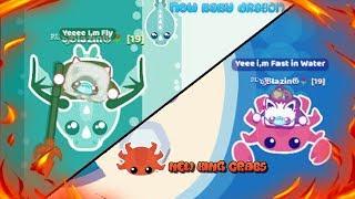 Starve.io - NEW BABY DRAGON and NEW KING CRABS