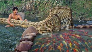 survival in the rainforest using Rattan to lure fish Catch fish using big traps